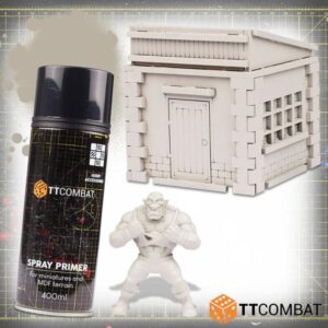 TTCombat    Strigoi Flesh Spray Paint - TTHS-020 - 5060850179634