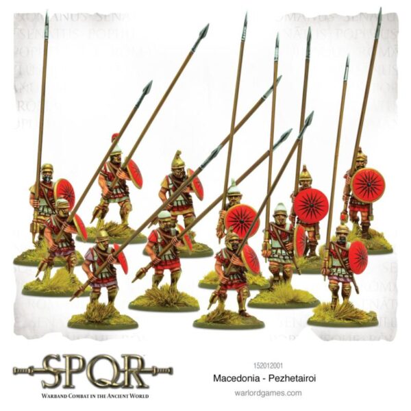 Warlord Games SPQR   SPQR: Macedonian Pezhetairoi - 152012001 - 5060572504622