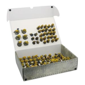 Safe and Sound    Full-size XL Box with two plates for magnetically-based miniatures - SAFE-XL-MAG02 - 5907459694857