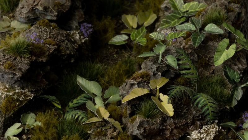 Laser Plants - Elephant Ear - Image 5